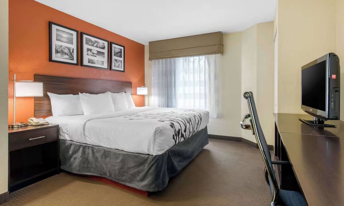 Bayou Oaks Hotel | Affordable Room w/1 King Near Sarasota Jungle Gardens – Perfect for Families
