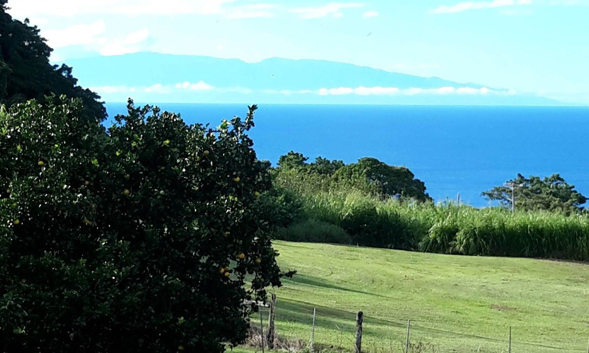 Kukuihaele Apartment | Beautiful ocean views located minutes away from Waipio Valley