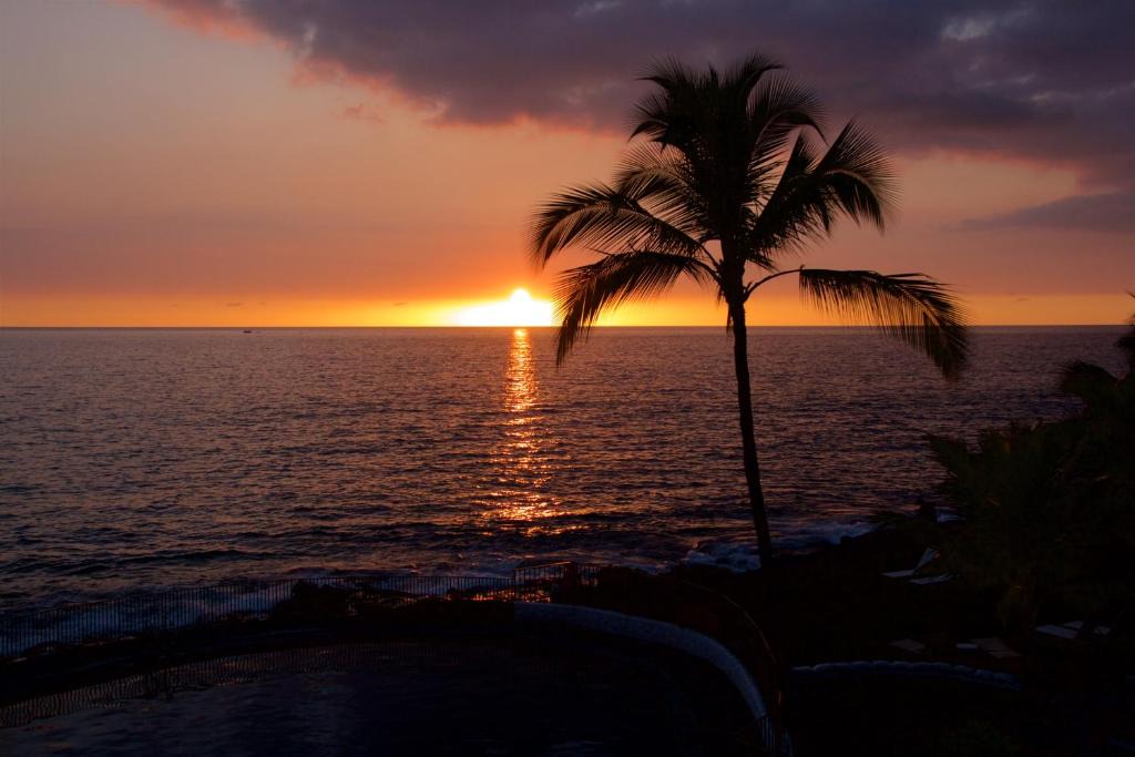 Kailua-Kona House | Casa de Emdeko 318