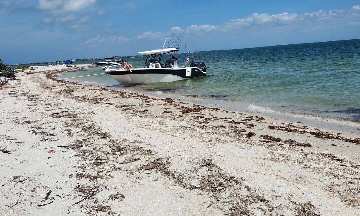 Burnt Store Apartment | Casita Bella Beautiful Cottage IN Wonderful Cape Coral FL. Come Enjoy!
