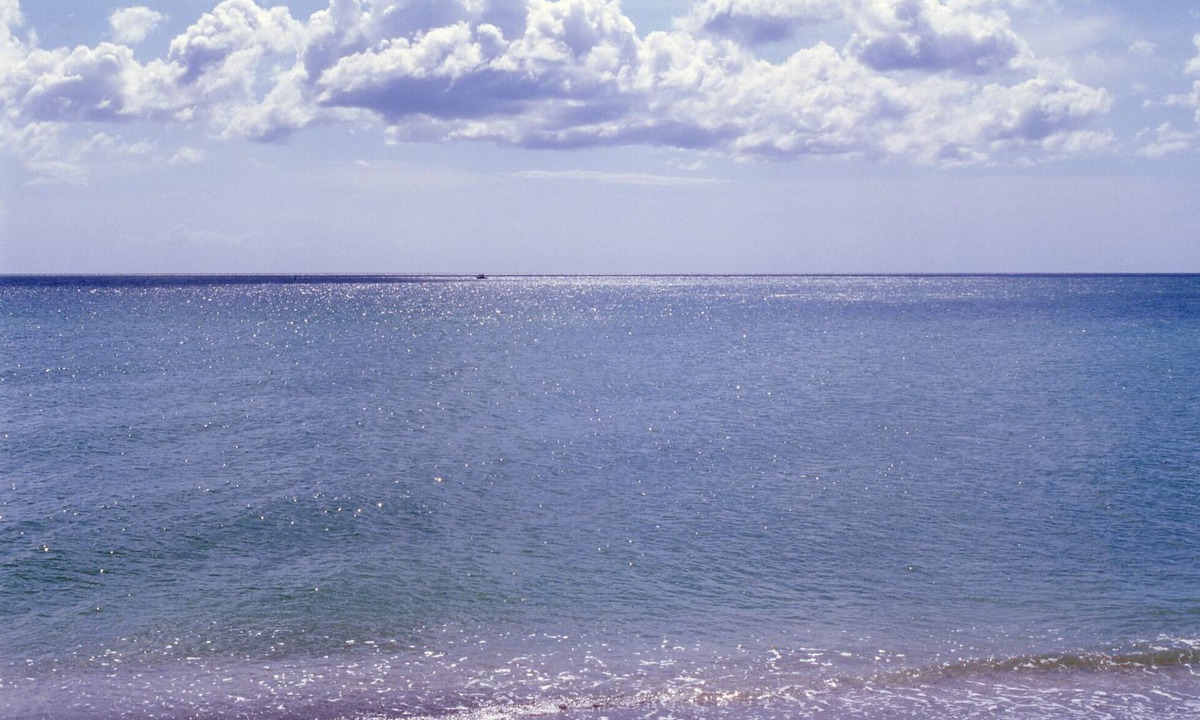 Golden Beach Apartment | Charming Apartment With Private Beach Access in Venice, FL