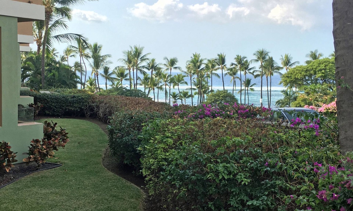 Kahaluu-Keauhou Condo | Great Location - Snorkel, Surf & Sunsets!