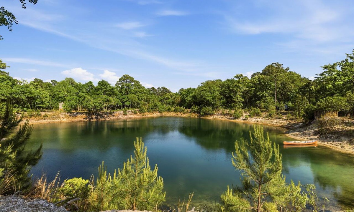 Hampstead House | PRIVATE 16+HiddenOasis! SwimPond+HotTub+Sauna+2Firepits+10ac, Pets Welcome!