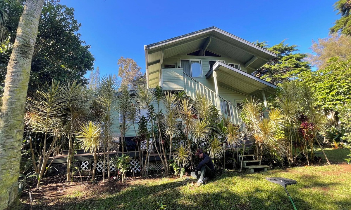 Hawi Apartment | Sun kissed 1-bedroom apartment minutes from Hawi.