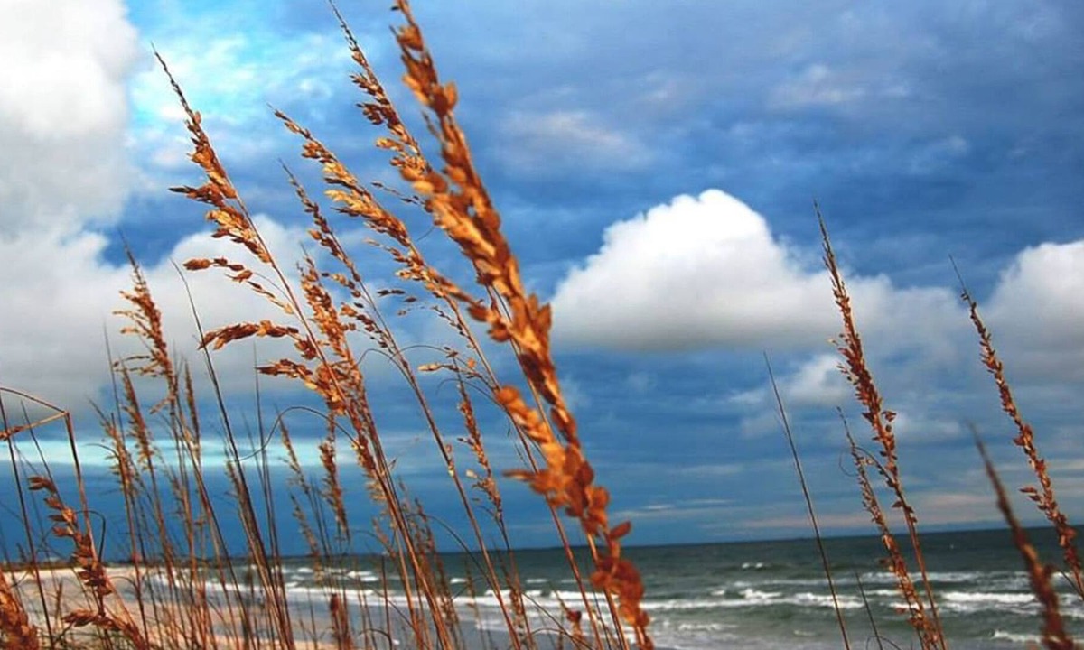 Sunset Beach Cottage | Winter in Historic Artsy Cottage on Fabulous Sunset Beach!