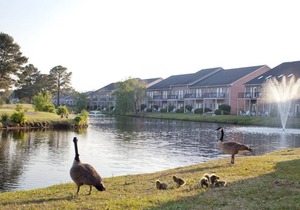 Beautiful 1 bedroom unit at resort, sleeps 4