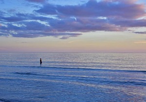 The Anna Maria Island Beach Paradise 5