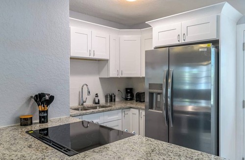 Ballast Point House | 3 Bedroom Tampa Home with AMAZING HOT TUB!