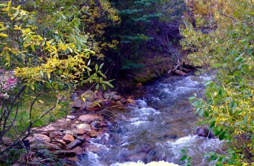 Idaho Springs Cabin | A River Front Mountain Luxury Cabin - Relaxing, Skiing, Rafting, Hot Tub, Suana