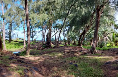 Ainaloa House | Ainaloa home of Big Island for Double size bedroom