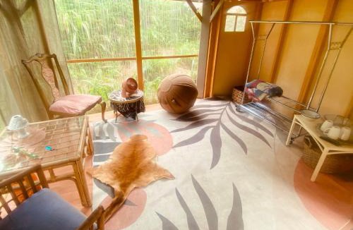 Discovery Harbour Bed & Breakfast | Artsy Cabin on Organic Farm
