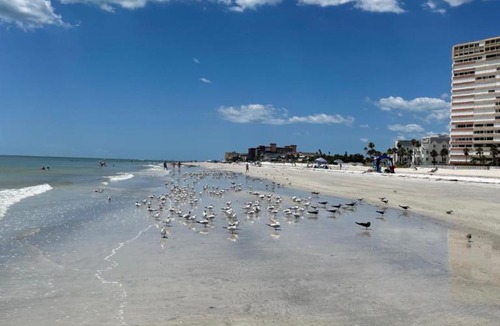 Redington Shores Apartment | Beachside 1 bedroom condo-motel
