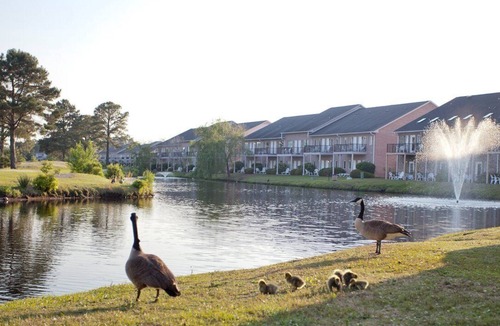 Surfside Beach Apartment | Beautiful 1 bedroom unit at resort, sleeps 6