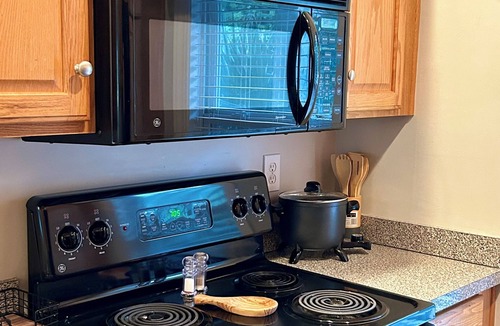 Santee Condo | Beautiful, ground level 3-bedroom condo with pool on scenic Lake Marion
