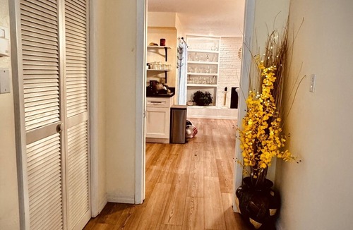 Clearwater House | Book a Paradise for your Family's Florida Vacation!