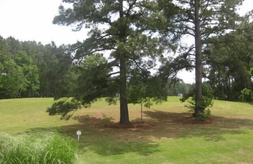 Longs Condo | Budget friendly Golf rental in Colonial Charts peaceful community!