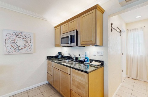 Pass-a-Grille Historic District Condo | Charming dog friendly studio with WiFi shared washer dryer snowbirds OK