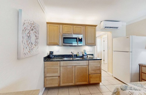 Pass-a-Grille Historic District Condo | Charming dog friendly studio with WiFi shared washer dryer snowbirds OK
