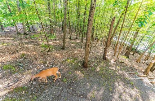 East Stroudsburg Villa | Charming Lakefront Getaway with Hot Tub & Game Room Perfect for Families!