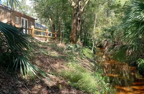 Clearwater Cabin | Clearwater Creekfront Tiny Home - Safety Harbor