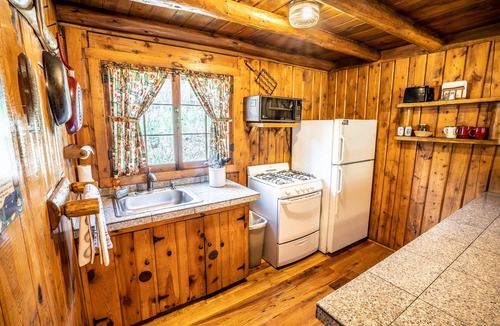 Evergreen Cabin | Colorado Bear Creek Cabin 6
