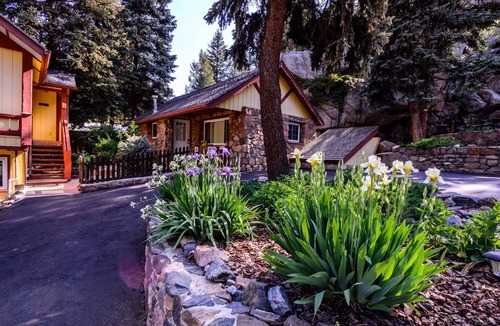 Evergreen Cabin | Cozy dog friendly cabin close to town and the lake