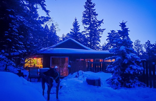 Indian Hills Cabin | Cozy Mountain Cabin ☆ Hot tub ☆ Work From Home and Pet Friendly