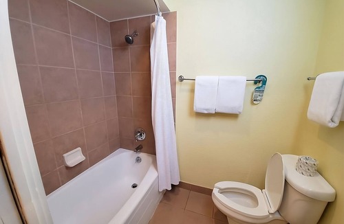 Crystal River Hotel | Escape with Nature! 2 Garden View Rooms Near Three Sister Springs! Pool, Parking