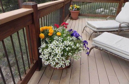 Allenspark Cabin | Fabulous 5-bedroom cabin between Allenspark and Estes park perfect for groups