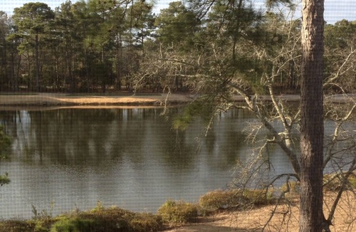 Pawleys Island Condo | “Great Escape”. Paradise awaits at True Blue!