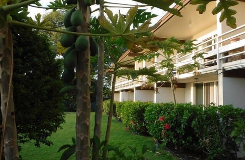 Kahaluu Bay Apartment | Kona White Sands A4 Romantic Ocean View!
