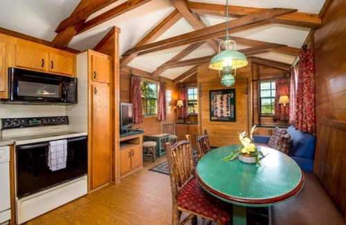 Seminole Cabin | Lakefront Cabin #410, 10mins to Beach/Dog Friendly/Prime Location/BOOK TODAY