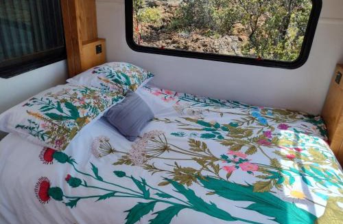 Ocean View House | Lava Bus