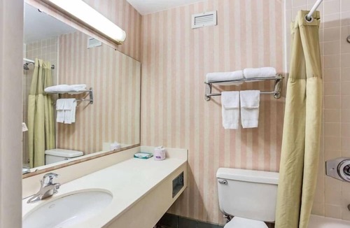 Boise Hotel | Lotus By Hotel Inn