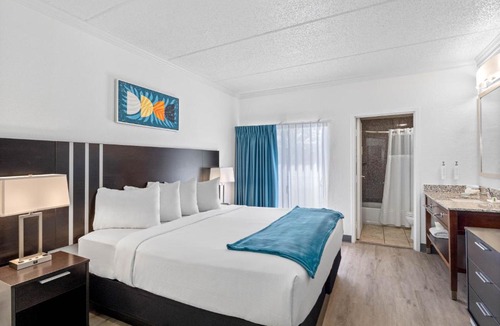 Terrace Park Hotel | OASIS BAY SUITES, Tampa, Busch Gardens, USF