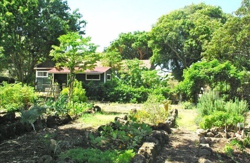 Hawi House | Ocean Views, Private Hot Tub, Swimming Pool Access, Historic Cottage