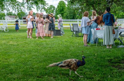 Parkton House | Parkton Place A Destination