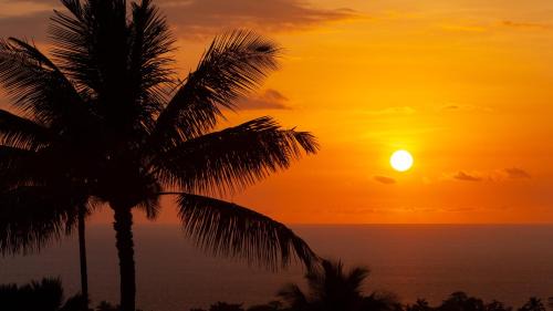 Kamuela Apartment | ❤PiH❤ A Sea-nic Escape Stunning Ocean View Mauna Kea Resort eBikes