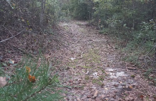 Cordova RV Rental | Private Nature Oriented Campground