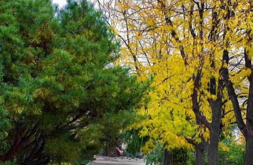 Southeast Boise House | Rare Find! 3 Pet-Friendly Units, Free Breakfast, Free Parking, Onsite Pool