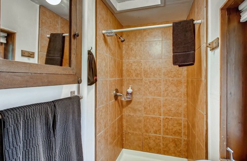 Idaho Springs Cabin | Rustic Funk Waterfront Pet Friendly Cabin