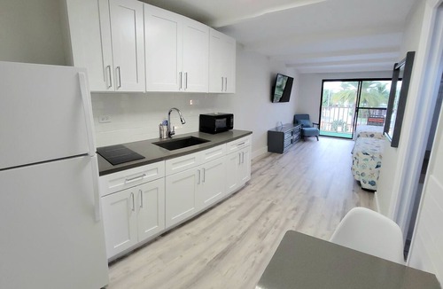 Treasure Island Hotel | Satellite Motel - Sea Haven 117