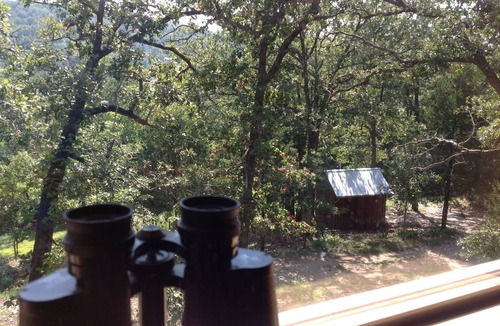Omaha Cabin | Secluded Cabin - Near Branson. Relax-Quiet-Hike-Explore-Woods-Lake-Mountains 4WD