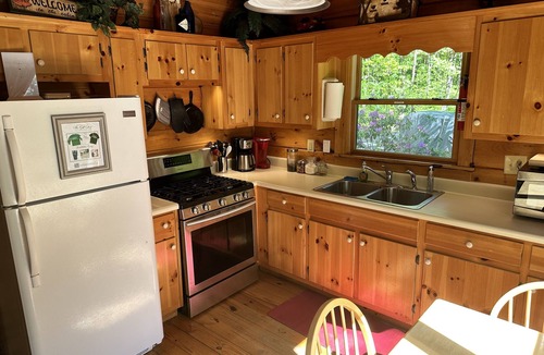 Unaka Cabin | Secluded Creekside Cabin Fire Pit Trout Fishing Pet Friendly