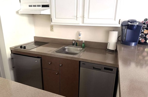 Hancock Apartment | Ski On/Off Winter Mountain Suite Jiminy Peak- Sleeps4- Home Away From Home