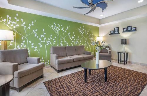Port Charlotte Hotel | Sleep Inn & Suites Port Charlotte-Punta Gorda