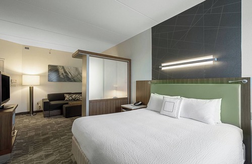 New Tampa Hotel | SpringHill Suites by Marriott Tampa North/I 75 Tampa Palms