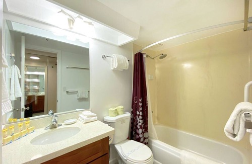 Waikiki Hotel | Studio in the HEART of Waikiki! Steps to the BEACH with Full Kitchenette