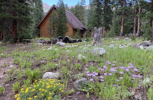 Breckenridge Cabin | The perfect cabin in the mountains, minutes to downtown Breckenridge