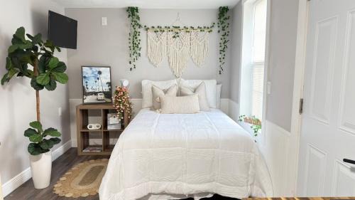 Bearss Plaza Apartment | Tropical Casita LaVida